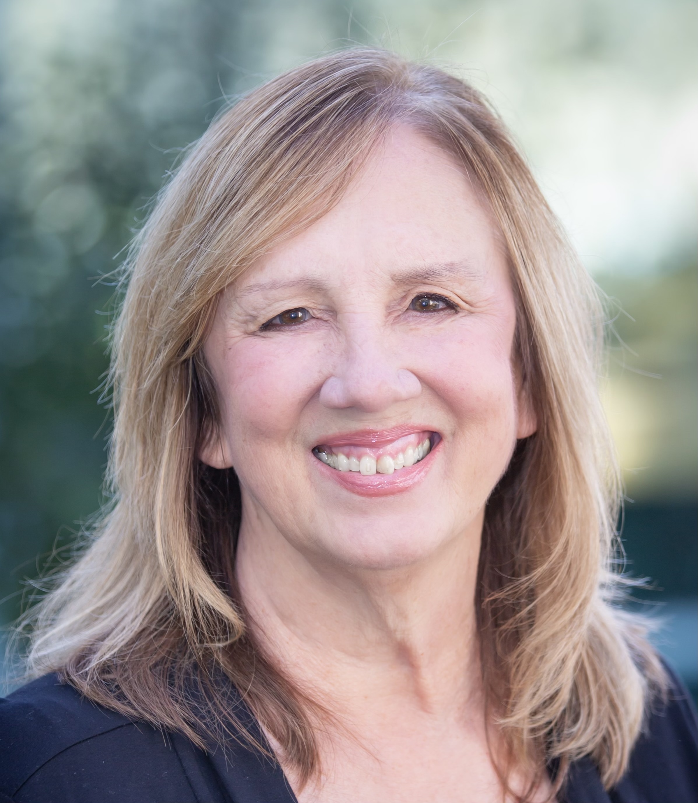 438 Puerto Vallarta, Pleasanton, CA 94566 MLS 41059014 Berkshire